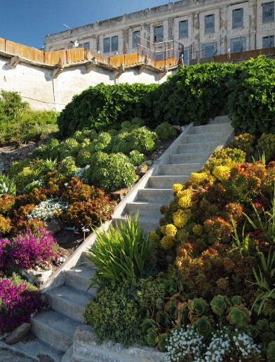 Impermeabilización de Jardineras en León impermeabilizar jardinera en leon