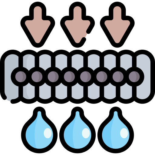 membrana